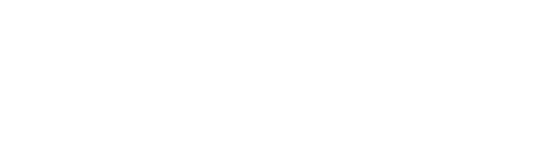 Partner logo 16