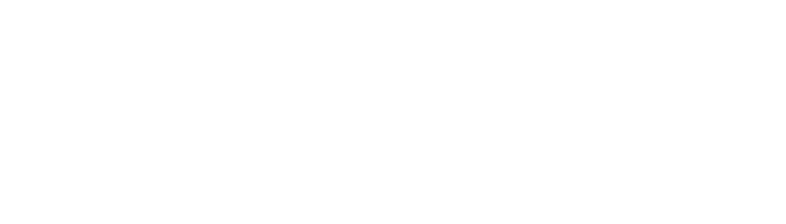 Partner logo 19
