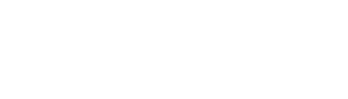 Partner logo 9