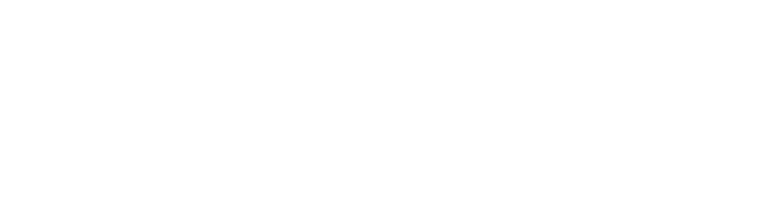 Partner logo 31
