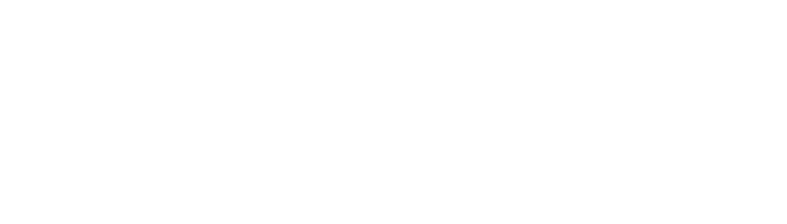 Partner logo 29